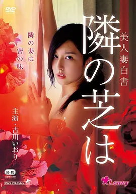 渡口无风 经典文艺片高清在线观看